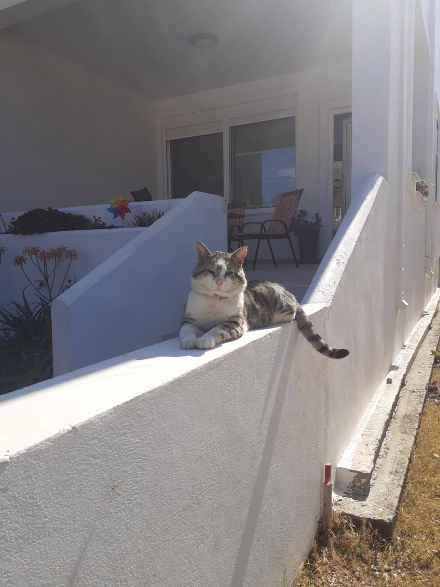 Katerina Summerhouse Dhaskalion Exterior photo